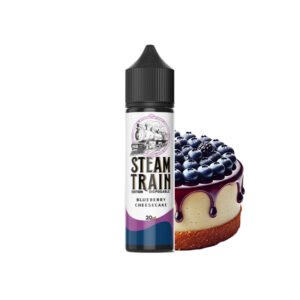 BLUEBERRY CHEESECAKE  2060-2