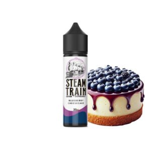 BLUEBERRY CHEESECAKE  2060