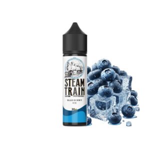 BLUEBERRY ICE  2060